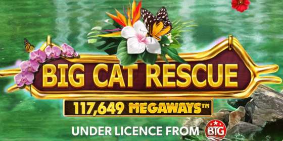 Big Cat Rescue Megaways by Red Tiger CA