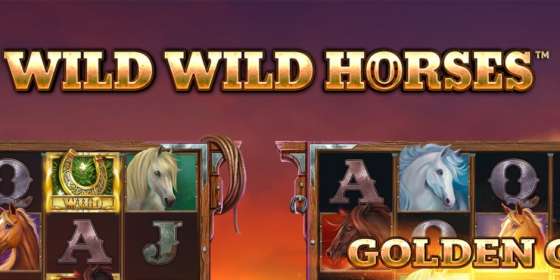 Wild Wild Horses by Stakelogic CA