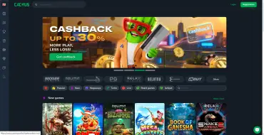 Cactus Casino: Interface