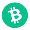 Bitcoin Cash