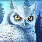 Owl symbol in Icy Wilds slot