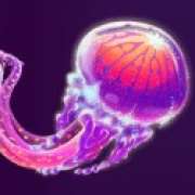Символ Wild symbol in Jellyfish Flow Ultra slot