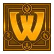 Wild symbol in Shadow Summoner Elementals slot