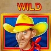Wild symbol in Wild Bounty slot