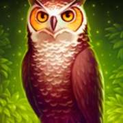 Owl symbol in Book of Wizard: Crystal Chance slot