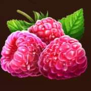 Raspberry symbol in Xtreme Summer Hot slot
