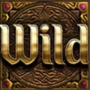 Wild symbol symbol in Wizards Want War! slot