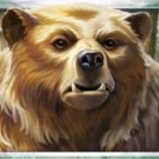 Bear symbol in Wild Tundra slot