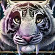 Tiger symbol in Rock Vegas slot