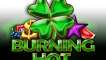 40 Burning Hot Clover Chance (logo)