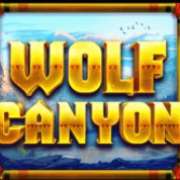 Scatter symbol in Wolf Canyon: Hold & Win slot