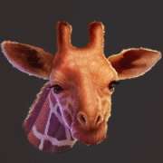 Giraffe symbol in Wild Herd slot