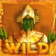 Wild symbol in Gods of Egypt slot