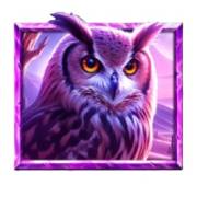 5 Wild Wolves: Owl