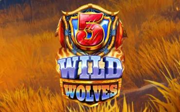 5 Wild Wolves slot