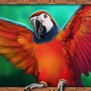 Parrot symbol in 3 Genie Wishes slot