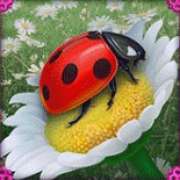 Ladybug symbol in Serendipity slot