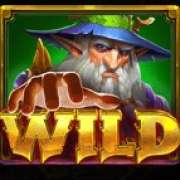 Wild symbol in Magician's Secrets slot