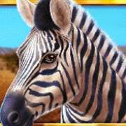 Zebra symbol in Wild Herd slot