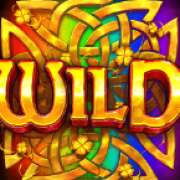 Wild symbol in Wild Wild Riches slot