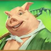 Pig symbol in Wins of Fortune slot