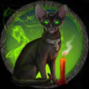 Cat symbol symbol in Wicked Witch slot
