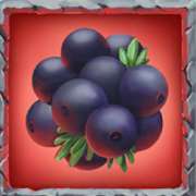 Berries symbol in Troll Haven slot