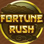 Wild symbol in Fortune Rush slot