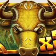 Wild X3 symbol in Wild Bison Charge slot