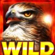 Wild symbol in Desert Hawk slot