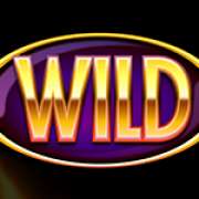 Wild symbol in Reel Reel Hot slot