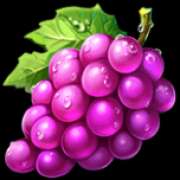 Grape symbol in Joker Expand: 5 Lines slot