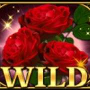 Wild symbol in Retro Love slot