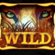 Wild symbol in African Luck slot