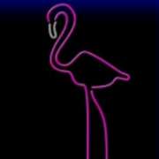 Фламинго symbol in Neon Life slot