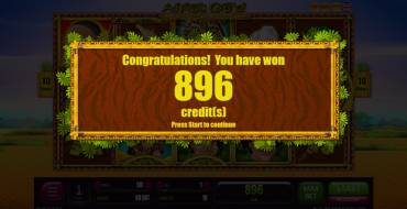 Africa Gold: Winnings