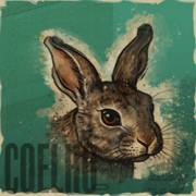 Animals Strike: Hare