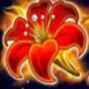 Arising Phoenix: Flower