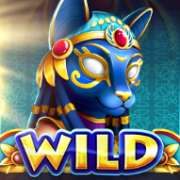 Wild symbol in Ages of Fortune slot