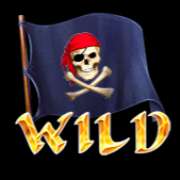 Wild symbol in Pirate Cave slot