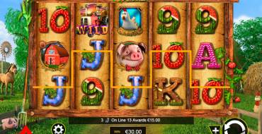 Barnyard Bonanza: 