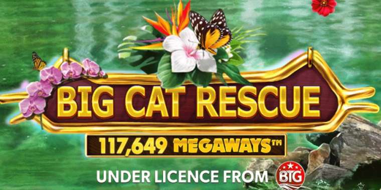 Play Big Cat Rescue Megaways slot CA