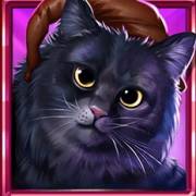 Book Of Enchantments: Cat