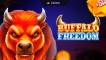 Buffalo Freedom DoubleMax (logo)