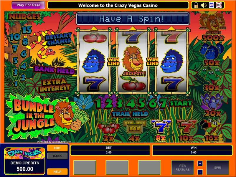 Bundle in the Jungle  slot