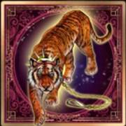 Burlesque Show: Tiger