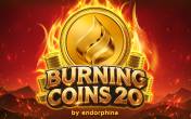 Burning Coins 20 (logo)