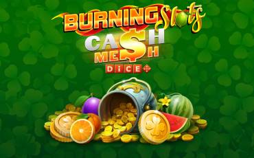Burning Slots Cash Mesh Dice slot