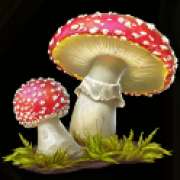 Fly agaric symbol in Wild Wild Riches slot