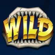 Wild symbol in Mega Don slot